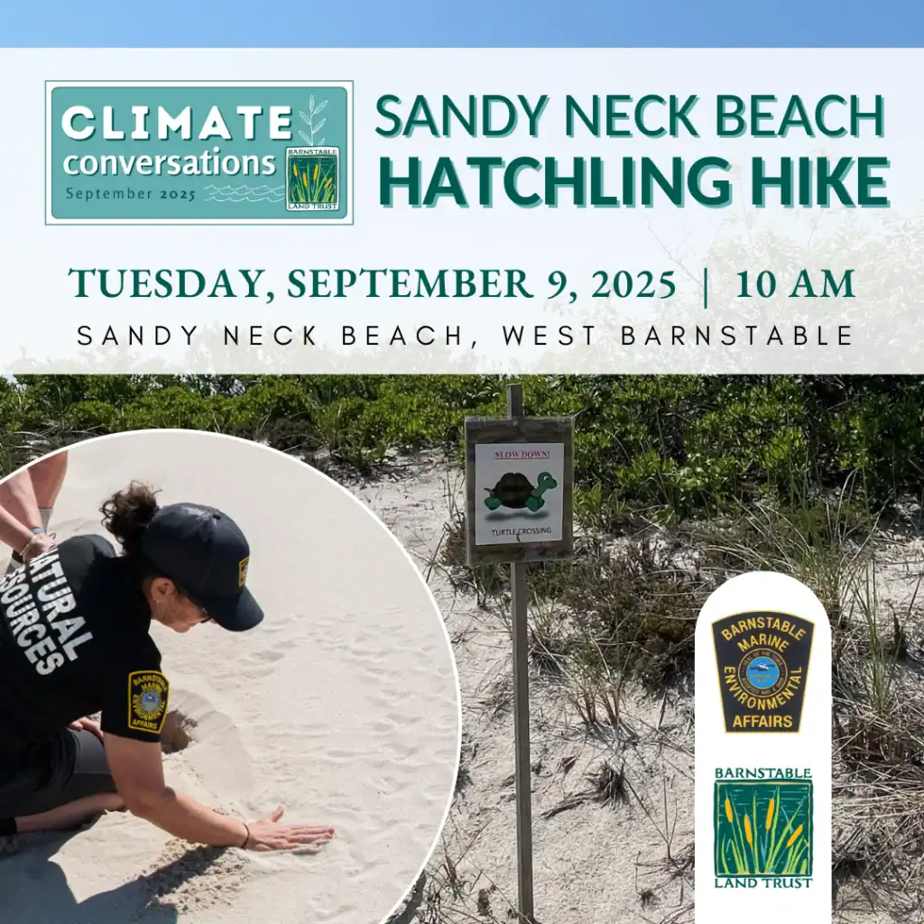 2025_EVENT_BLT_hatchling hike