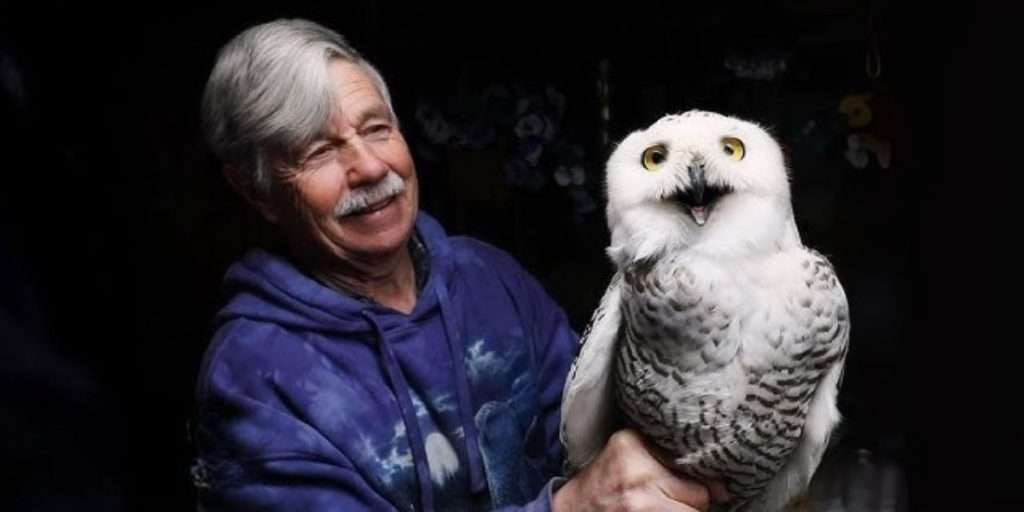 2025_EVENT_CCMoNH_Snowy-Owl-Logan
