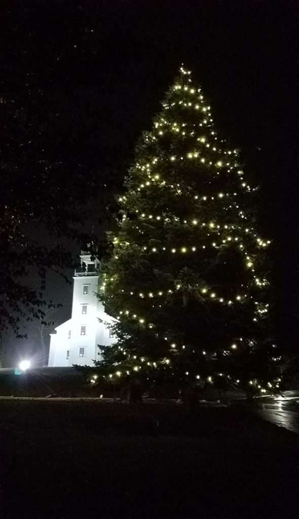 2025_Event_1717 Meetinghouse_Tree Lighting