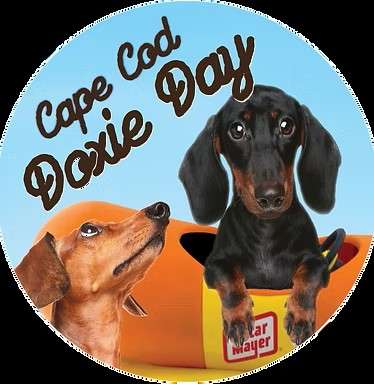 2025_Event_Barnstable Village_Doxie Day