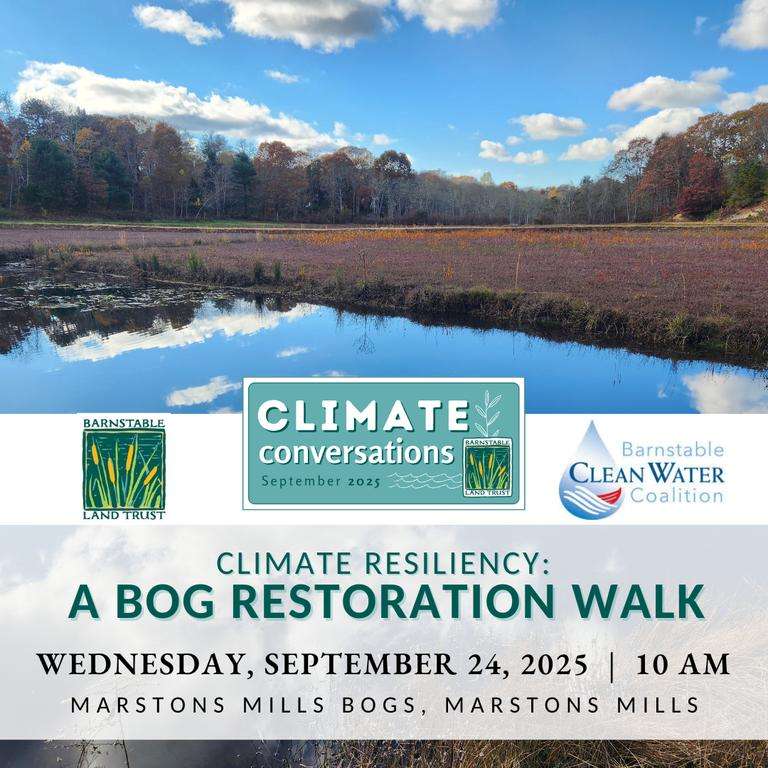 2025_Event_Marstons Mills Bogs_Bog Restoration