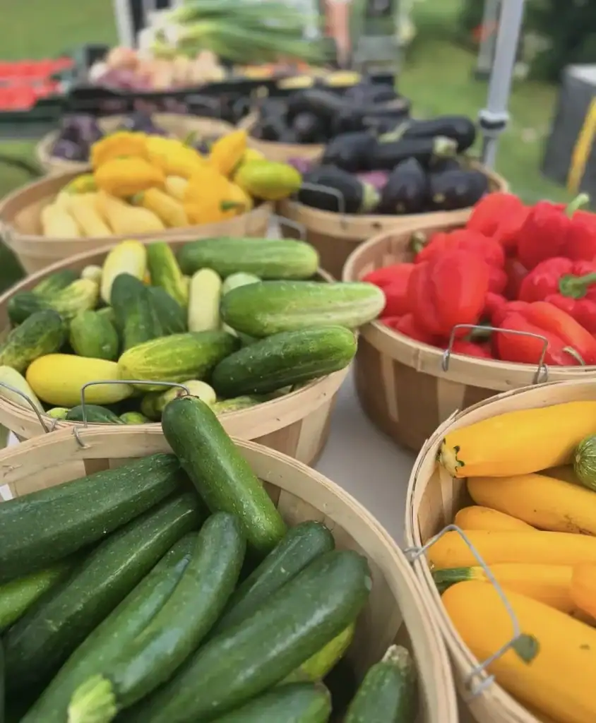2025_Event_Osterville Historic Museum_Farmers Market_