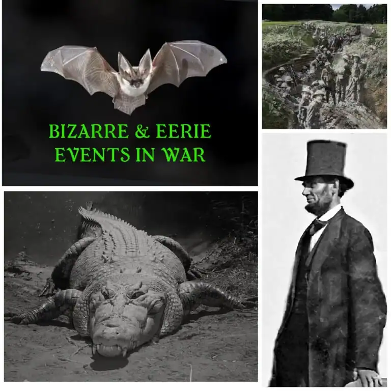 2025_Event_Cape Cod Maritime Museum_HIstory on Tap Bizarre and Eerie Events
