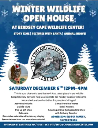 2025_Event_Birdsey Cape Wildlife Center_Winter Wildlife Open House