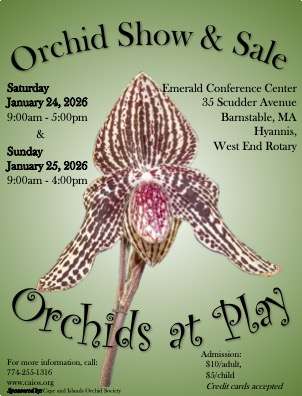 2026_Event_Emerald Resort_CAIOS Show and Sale