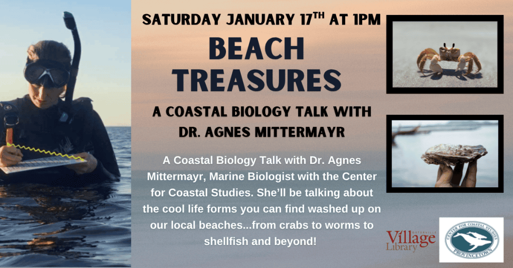 2026_EVENT_OVL_Beach Treasures