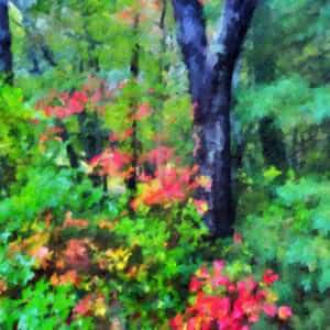 2026_Event_Cape Cod Art Center_Creative Smartphone Imagery
