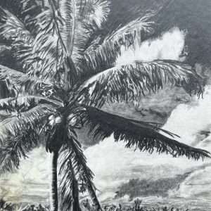 2026_Event_Cape Cod Art Center_Drawing Fundamentals with Sean Cassidy