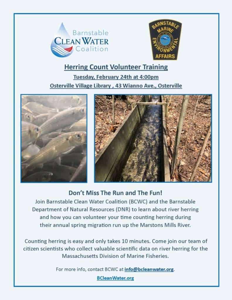 2026_Event_Osterville Library_Herring Count Training