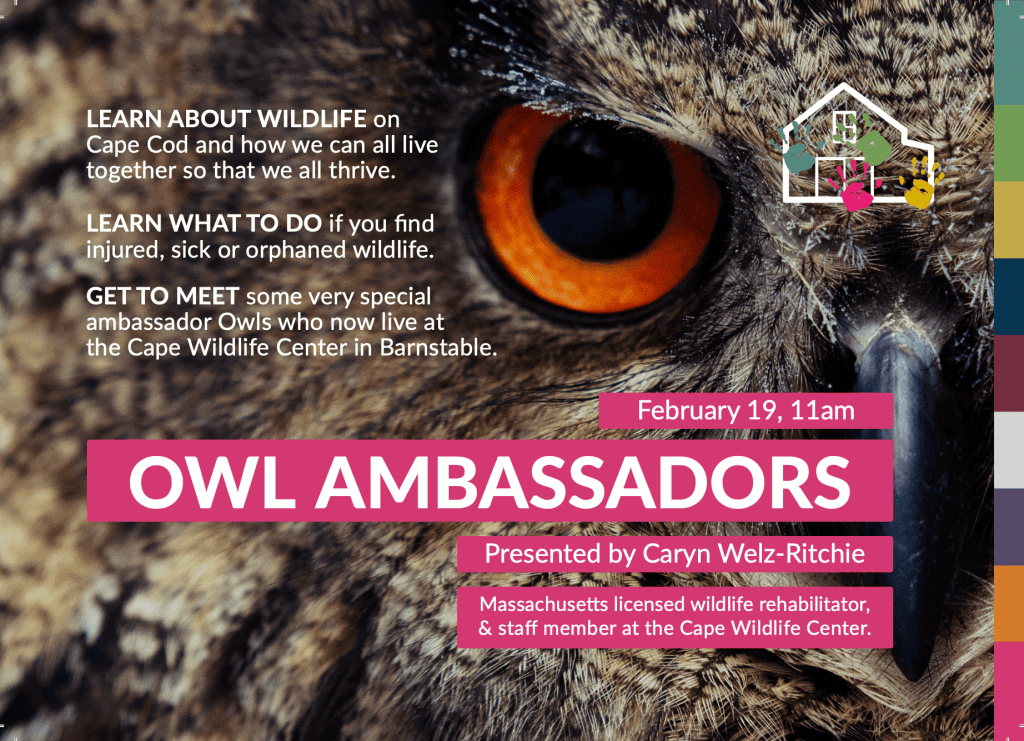 2026_EVENT_CCoCC_owls