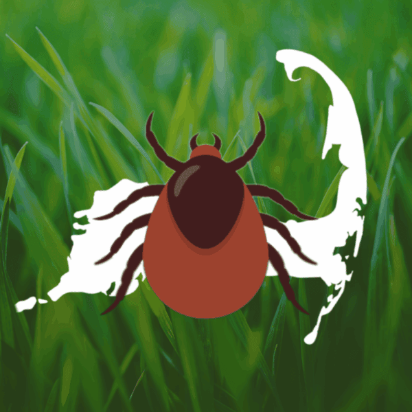 2026_Event_Centerville Library_Make Ticks Take a Hike