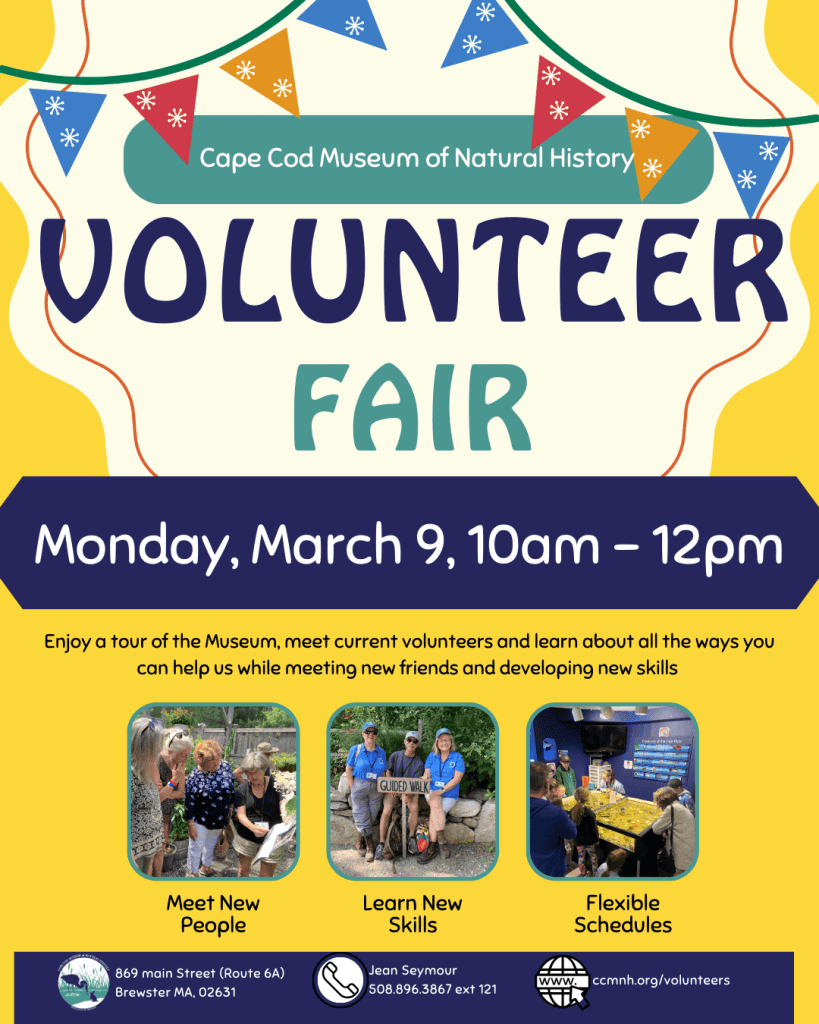 2026_EVENT_CCMNH_Volunteer_Fair