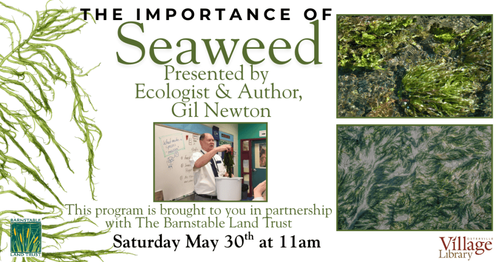 2026_EVENT_OVL_Seaweed