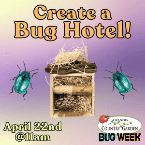2026_Event_Hyannis Country Garden_Create a Bug Hotel