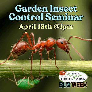 2026_Event_Hyannis Country Garden_Garden Insect Control Seminar