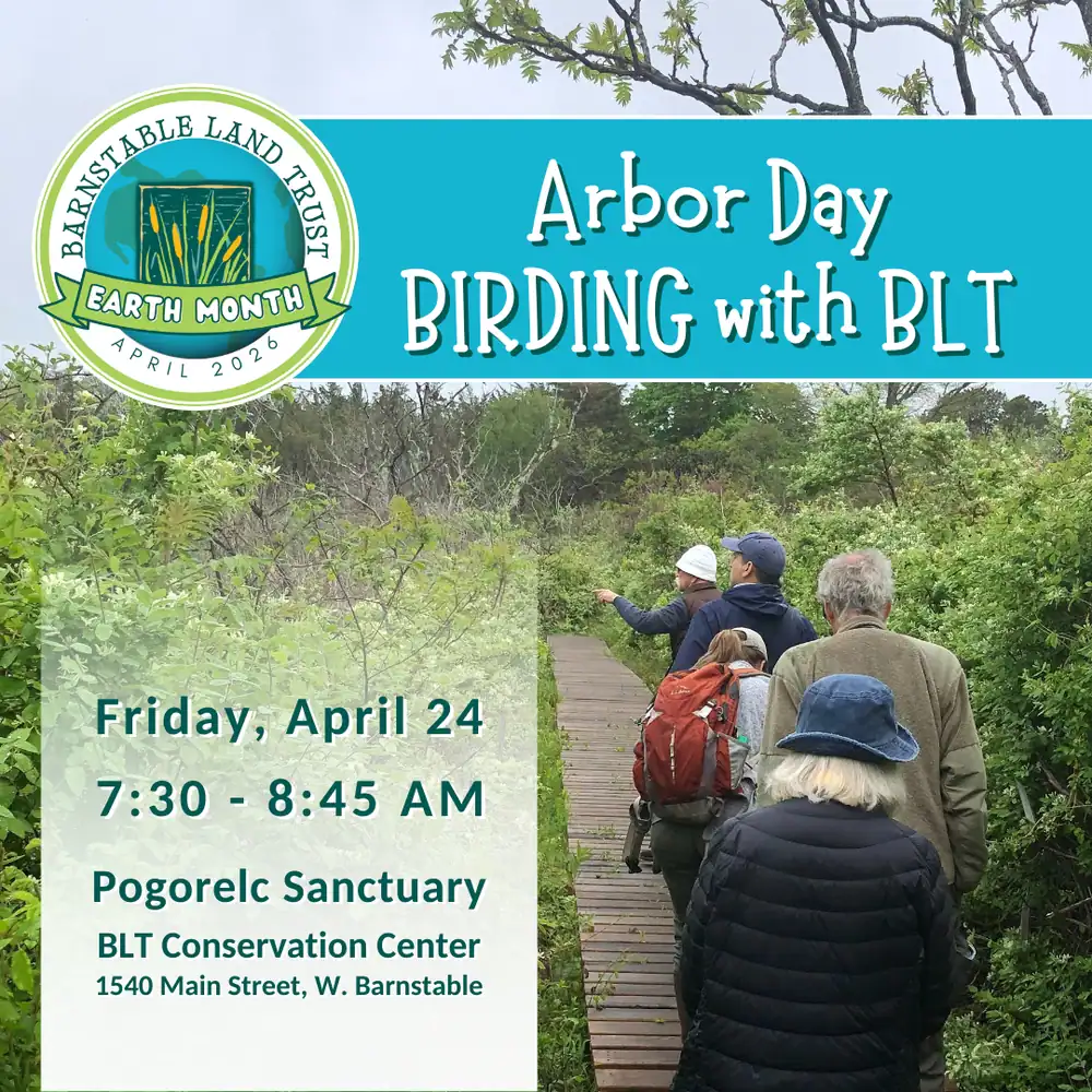 2026_Event_Pogorelc Sanctuary_Arbor Day Birding with BLT