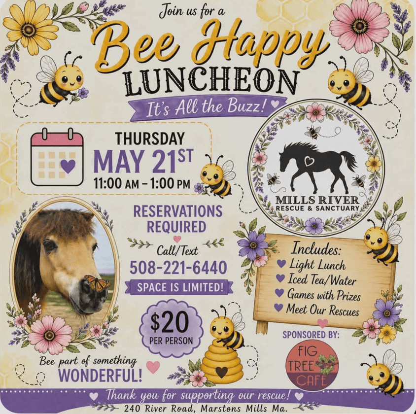 2026_Event_Mills River Rescue and Sanctuary_Bee Happy Luncheon