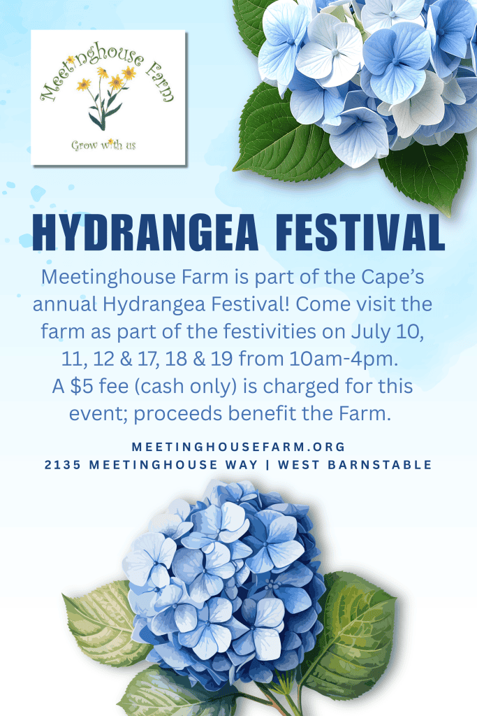 2026_EVENT_MHF_MeetinghouseHydrangea