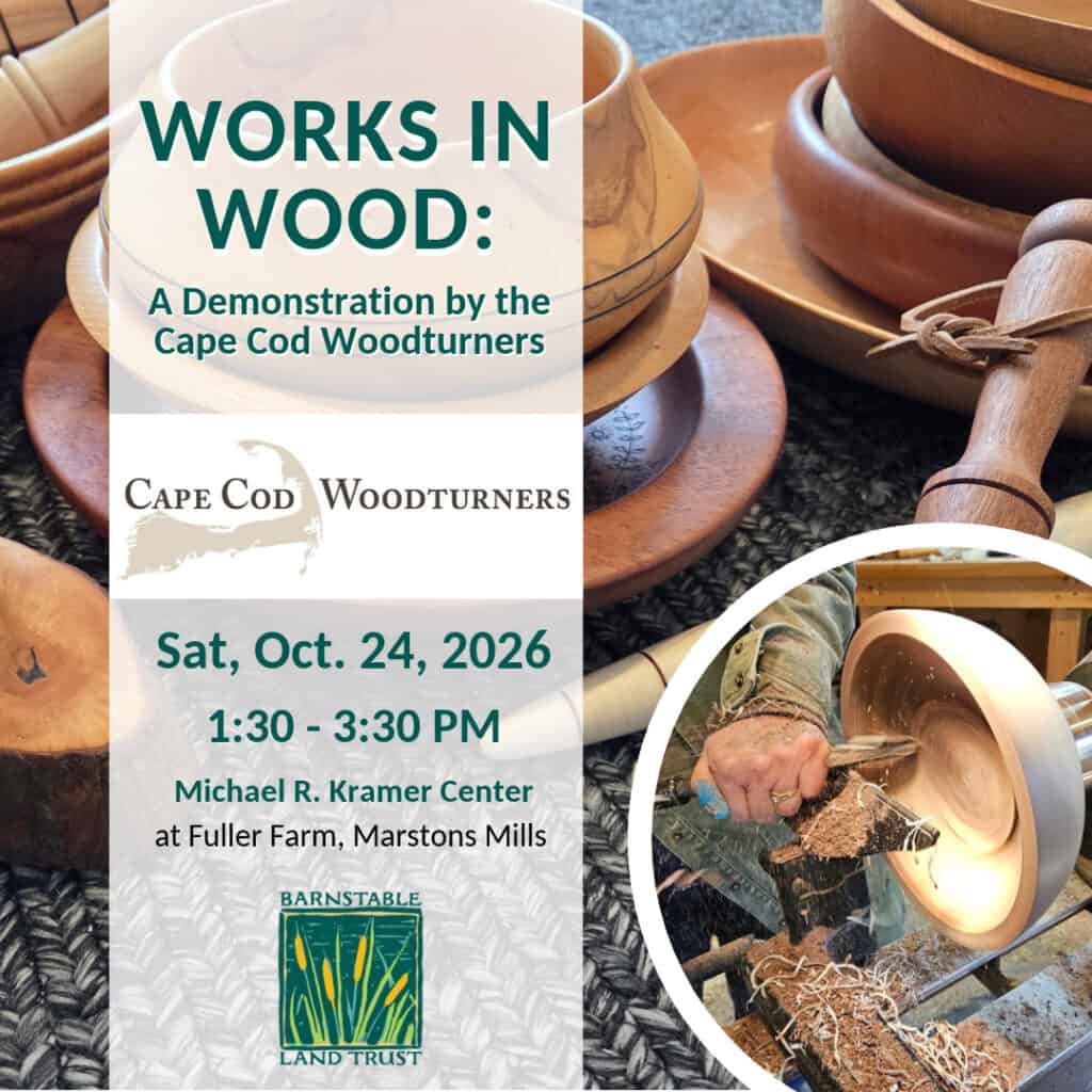 2026-EVENT_BLT_WOOD